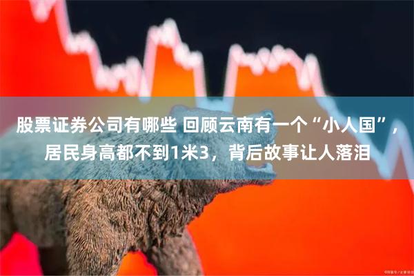 股票证券公司有哪些 回顾云南有一个“小人国”，居民身高都不到1米3，背后故事让人落泪