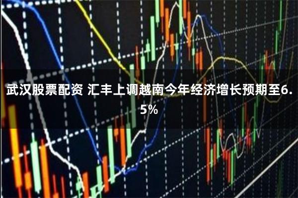 武汉股票配资 汇丰上调越南今年经济增长预期至6.5%