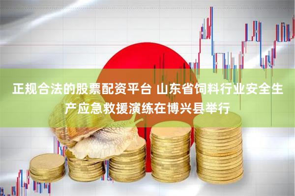 正规合法的股票配资平台 山东省饲料行业安全生产应急救援演练在博兴县举行