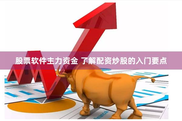 股票软件主力资金 了解配资炒股的入门要点