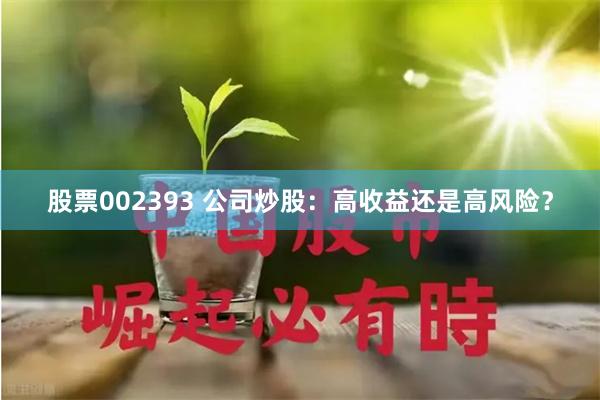 股票002393 公司炒股：高收益还是高风险？