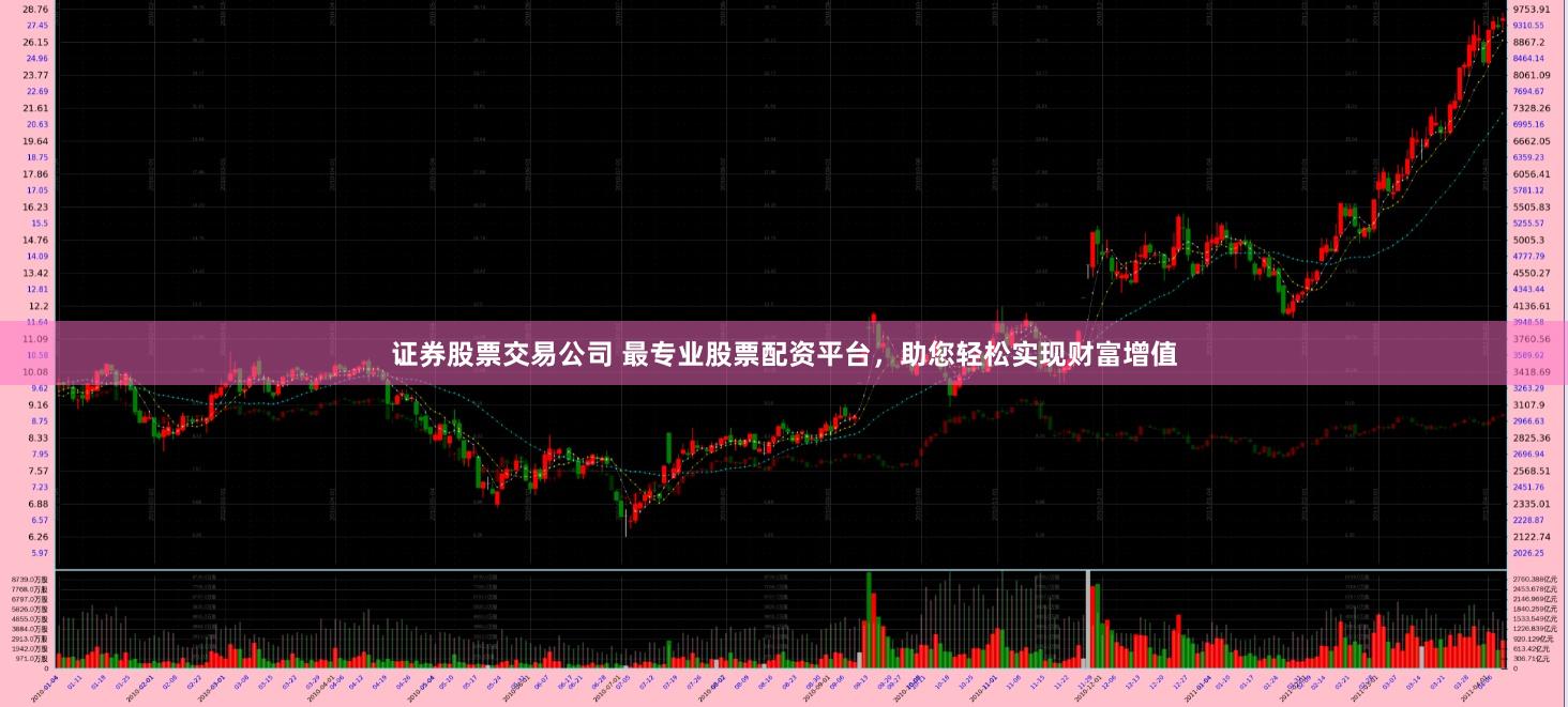证券股票交易公司 最专业股票配资平台，助您轻松实现财富增值