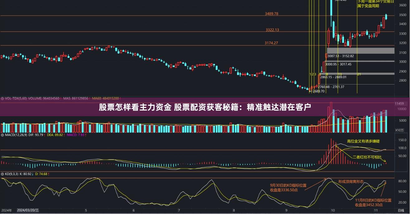股票怎样看主力资金 股票配资获客秘籍:精准触达潜在客户