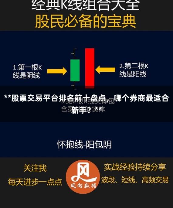 **股票交易平台排名前十盘点，哪个券商最适合新手？**