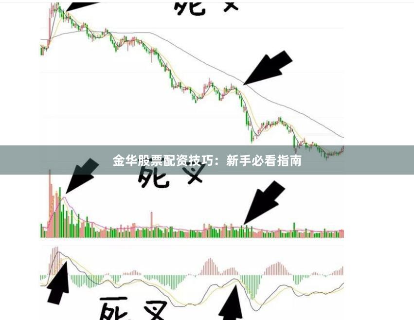 金华股票配资技巧:新手必看指南